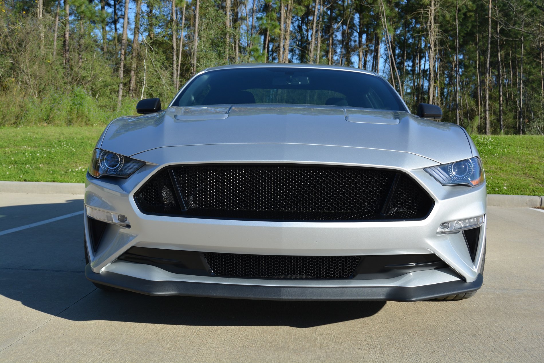 Mustang Silver 2018 New Grill2 small.jpg
