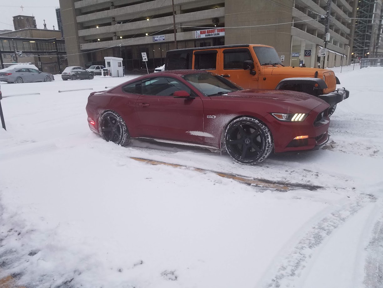 Mustang snow1.jpg