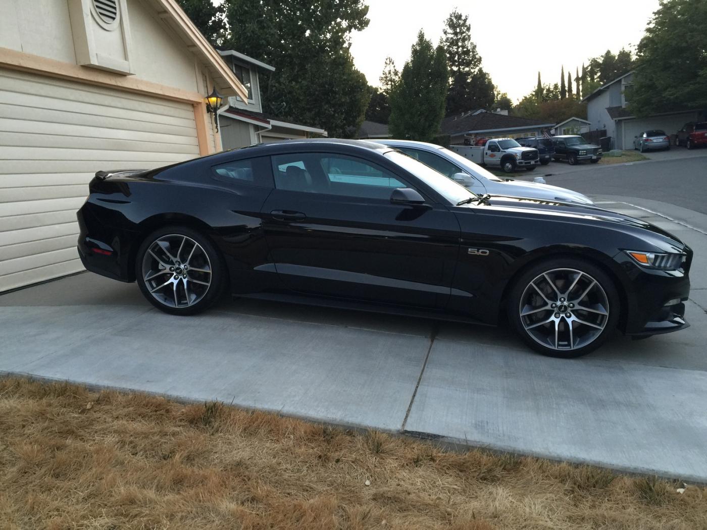 Mustang0198.jpg