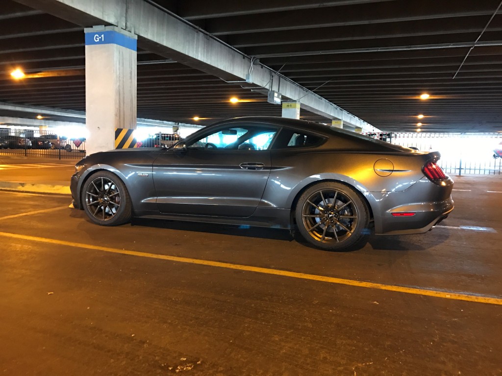 Mustang03.jpg