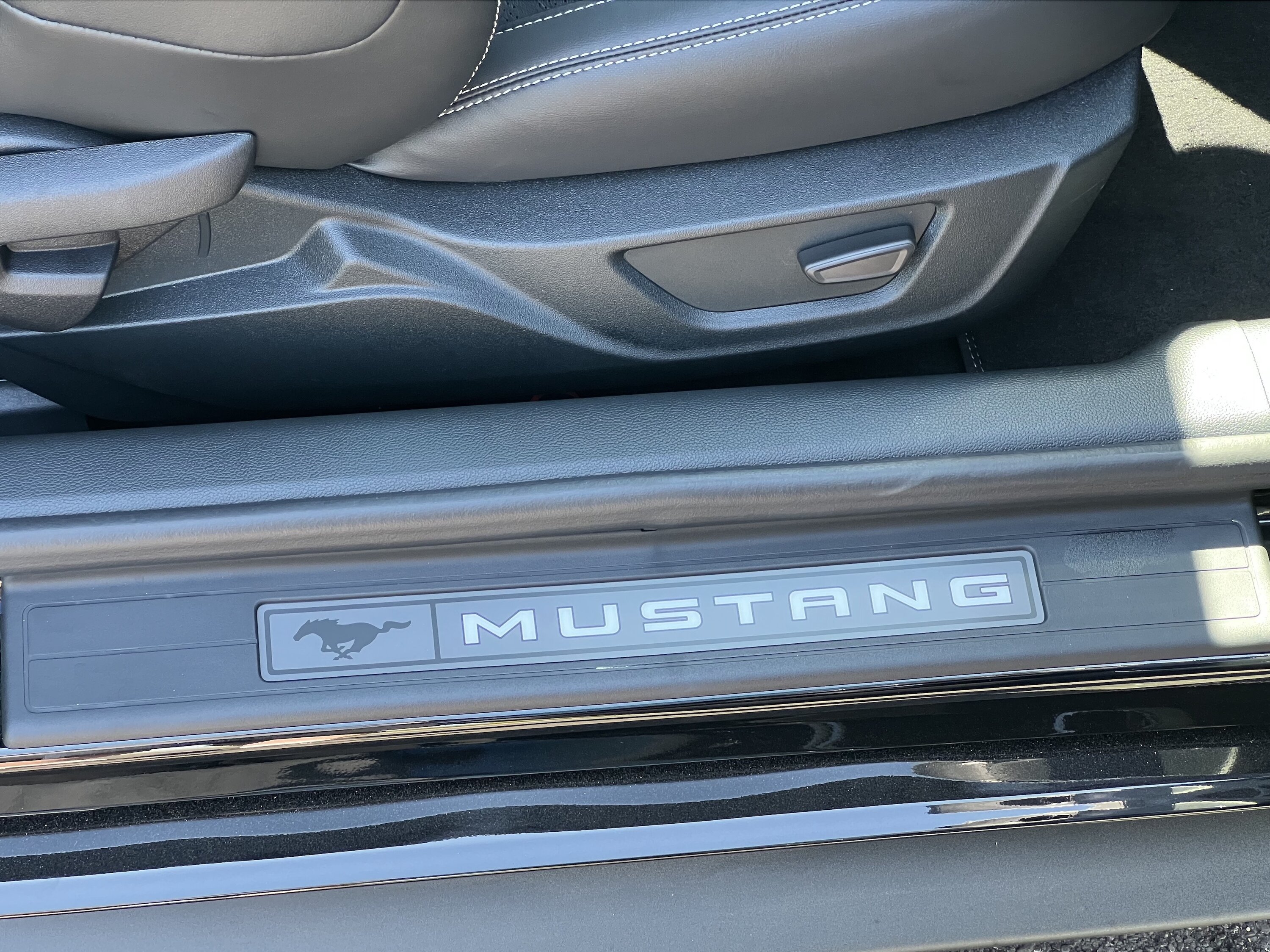 Mustang1.jpg