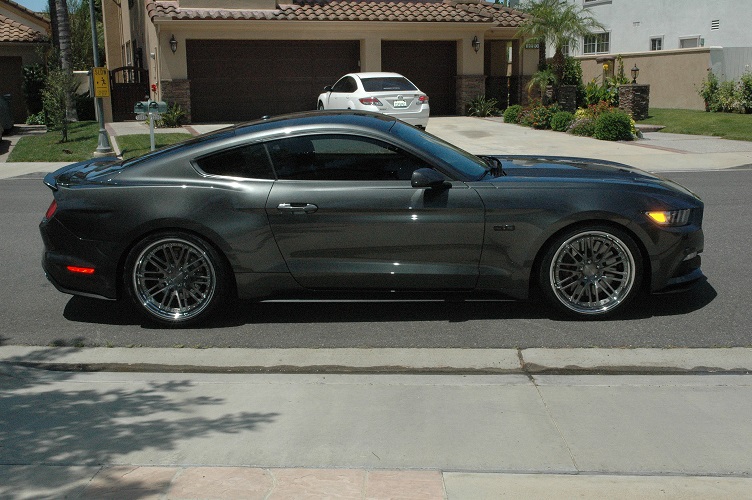 Mustang1.jpg