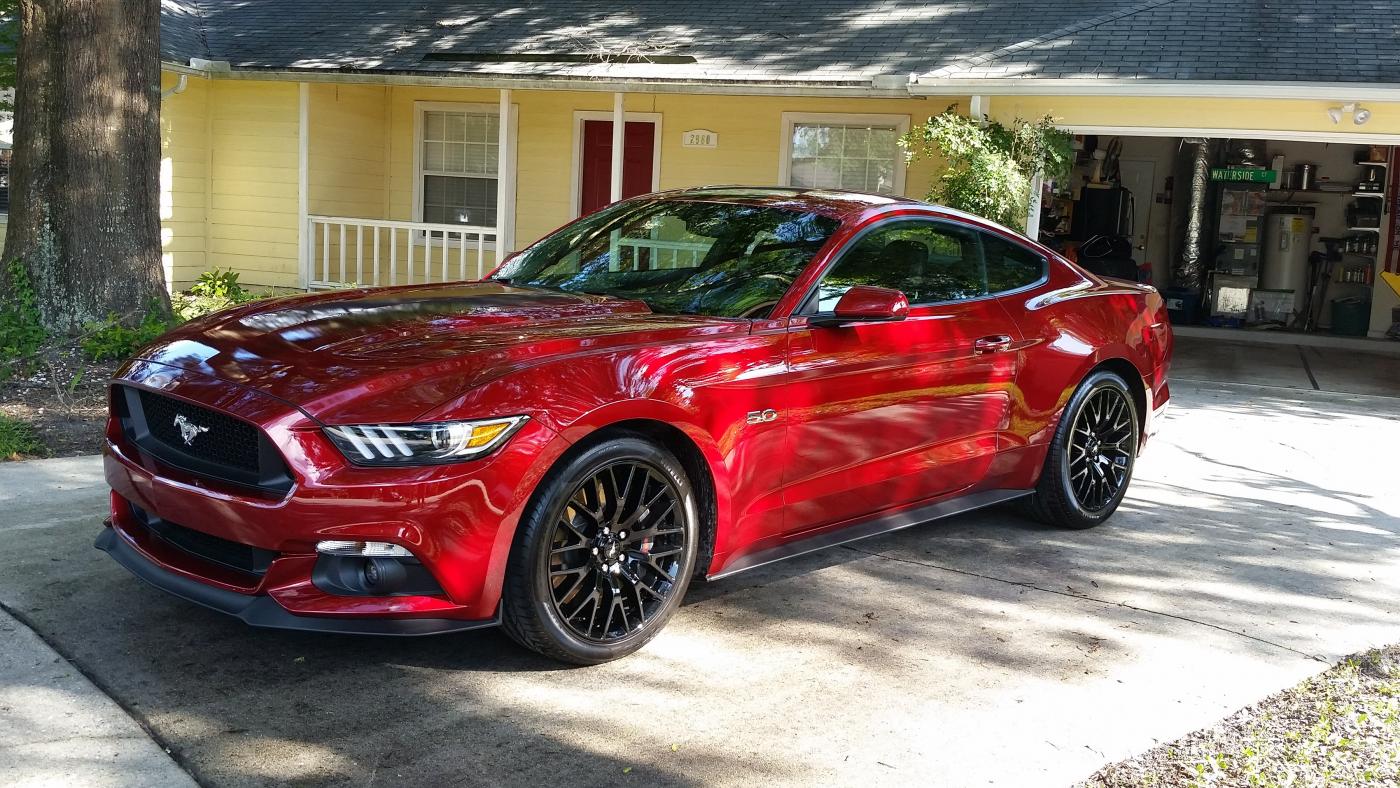 Mustang14-1.jpg