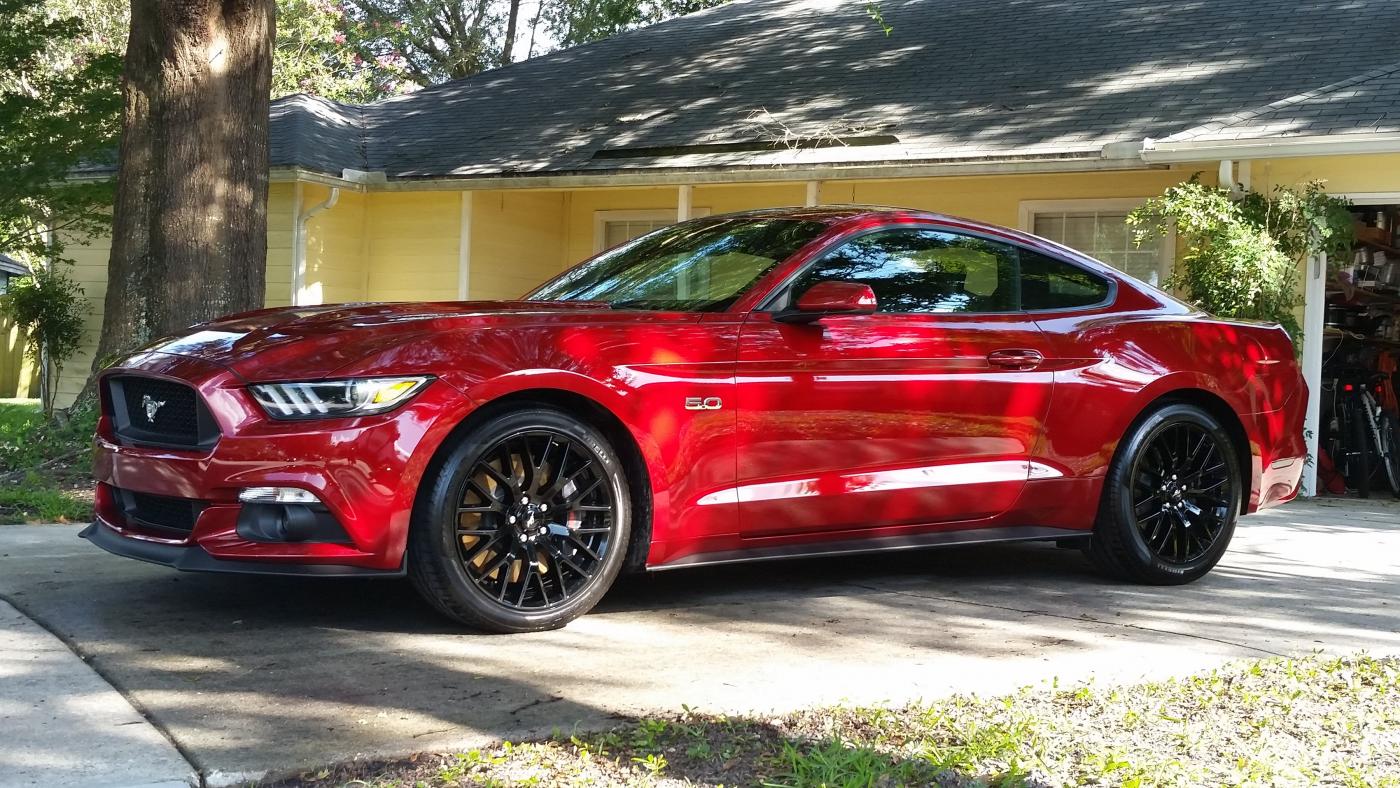 Mustang15-2.jpg