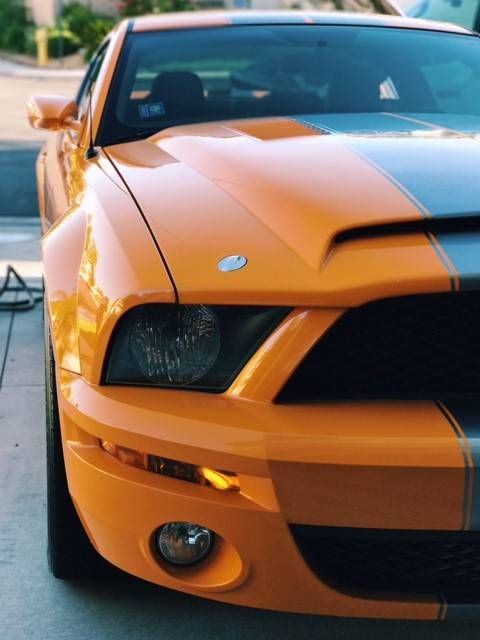 Mustang1_zpss0vk3icj.jpg