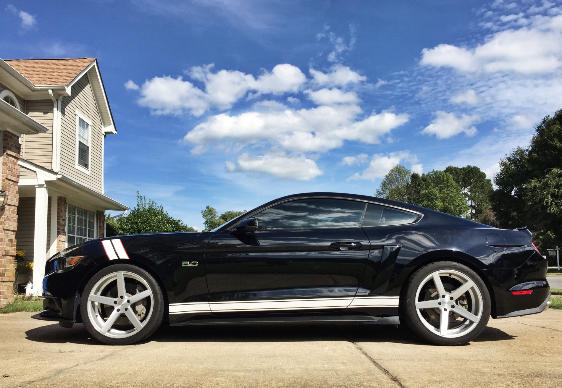 Mustang7.jpg