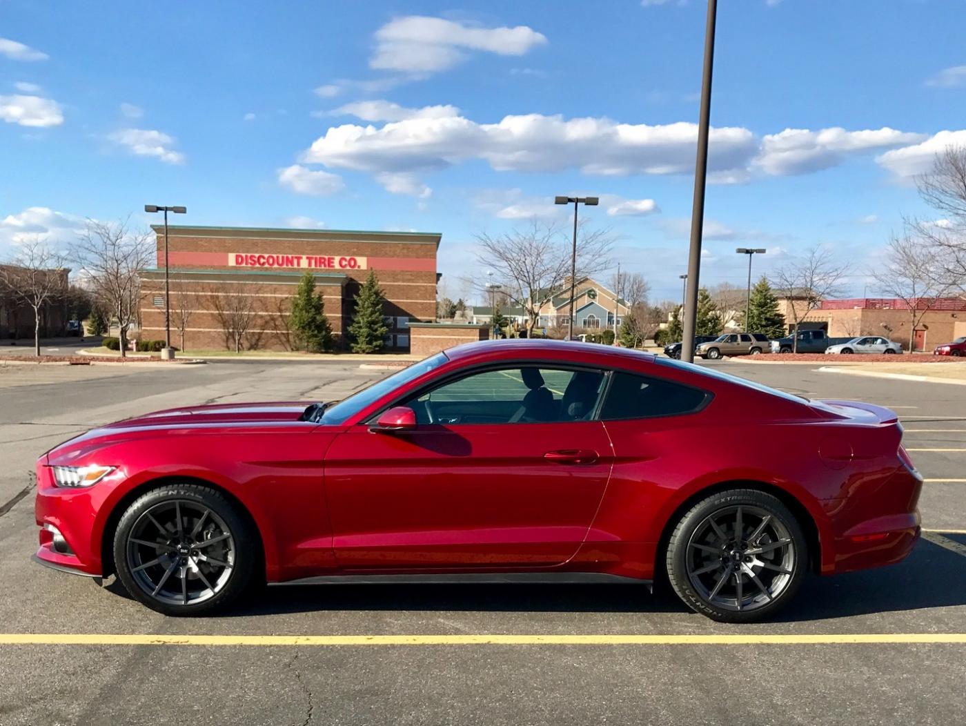 Mustangin.jpg