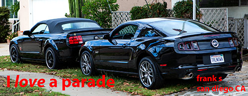 MustangsBlack2.jpg