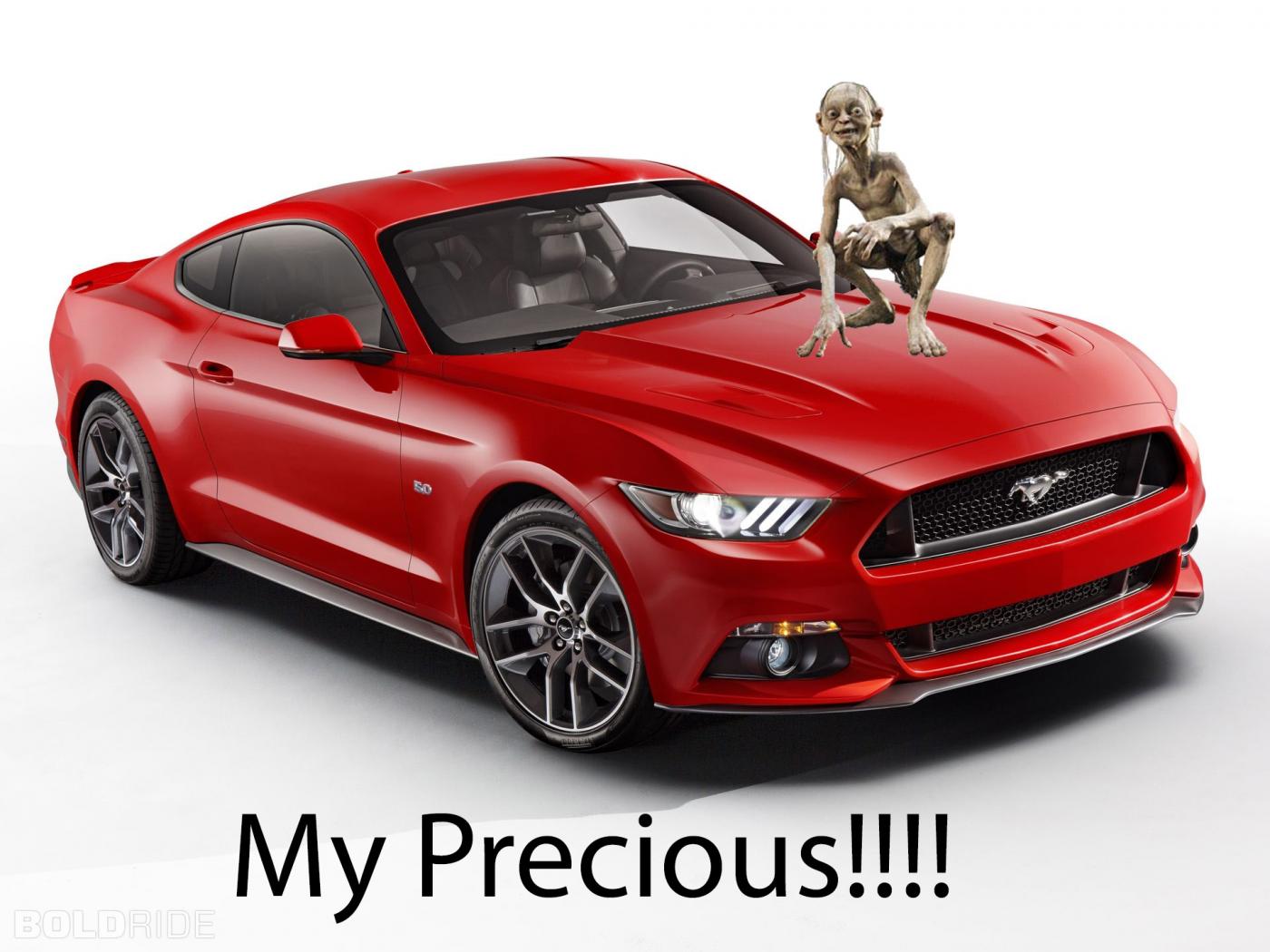 My Precious Mustang!.jpg