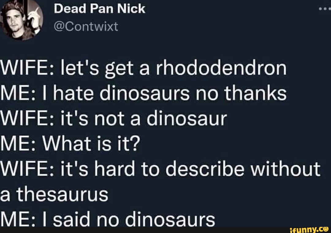 No thesaurus, I don't like dinosaurs.jpg