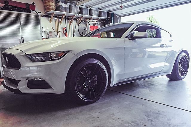 oxford-white-ford-mustang-gt-p51-101rf-gloss-black-rotory-forged-concave-wheels.jpg