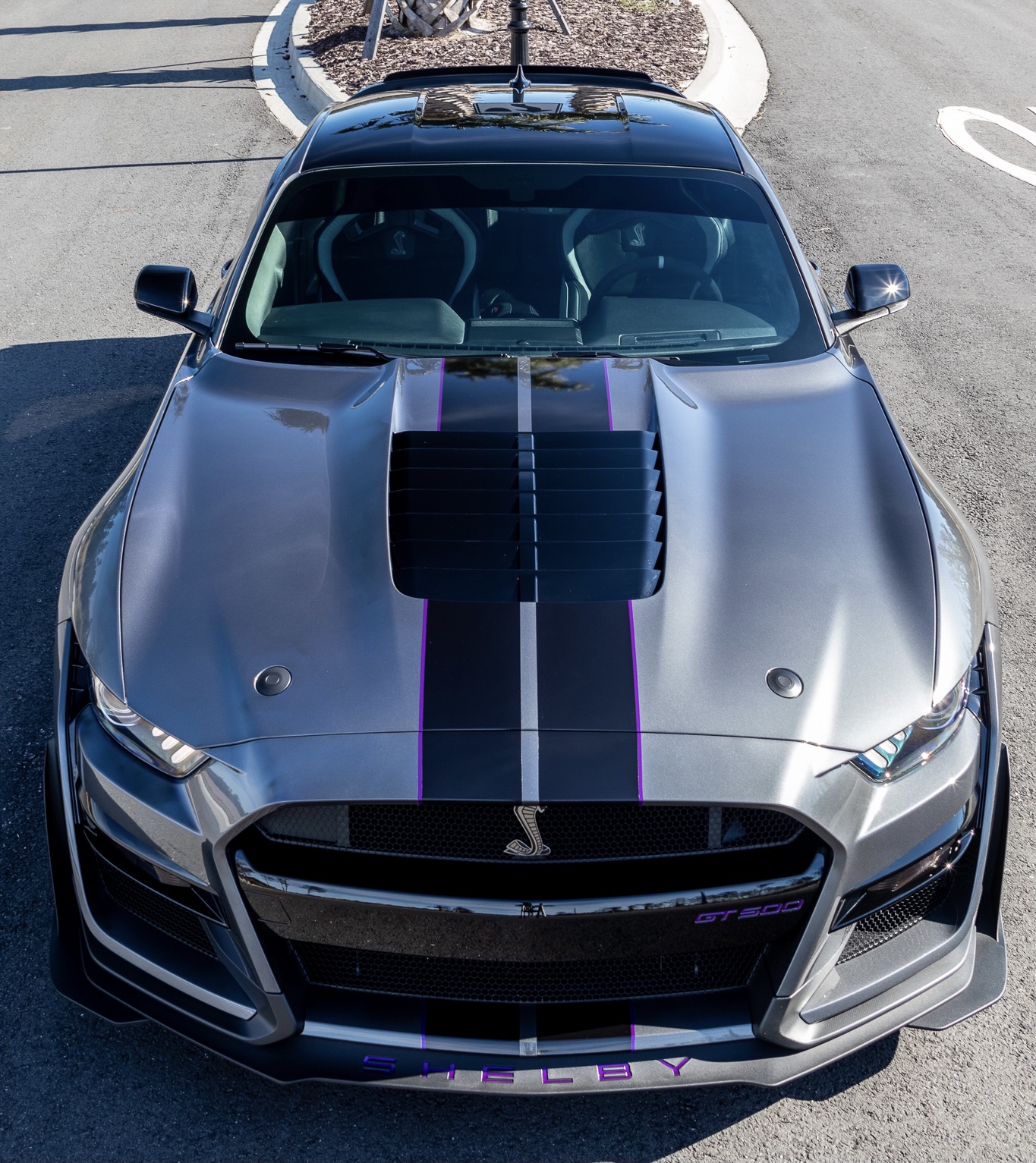 purple-dual-GT500-1.jpeg