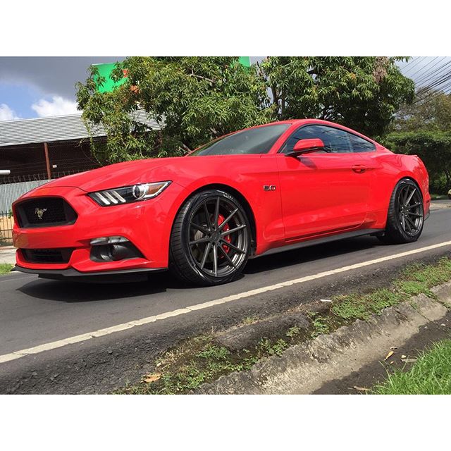 race-red-ford-mustang-gtpp-s550-tsw-bathurst-gunmetal-rotory-forged-concave-wheels.jpg