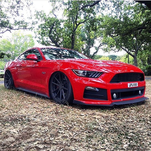 race-red-ford-mustang-gtpp-tsw-bathurst-gunmetal-rotory-forged-concave-wheels.jpg