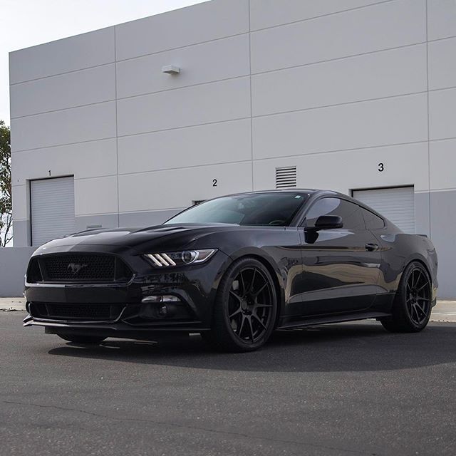 shadow-black-ford-mustang-gtpp-s550-zito-zf02-black-concave-wheels.jpg