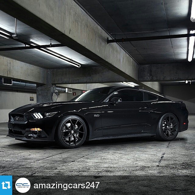 shadow-black-ford-mustang-gtpp-s550-zito-zs05-black-concave-wheels.jpg