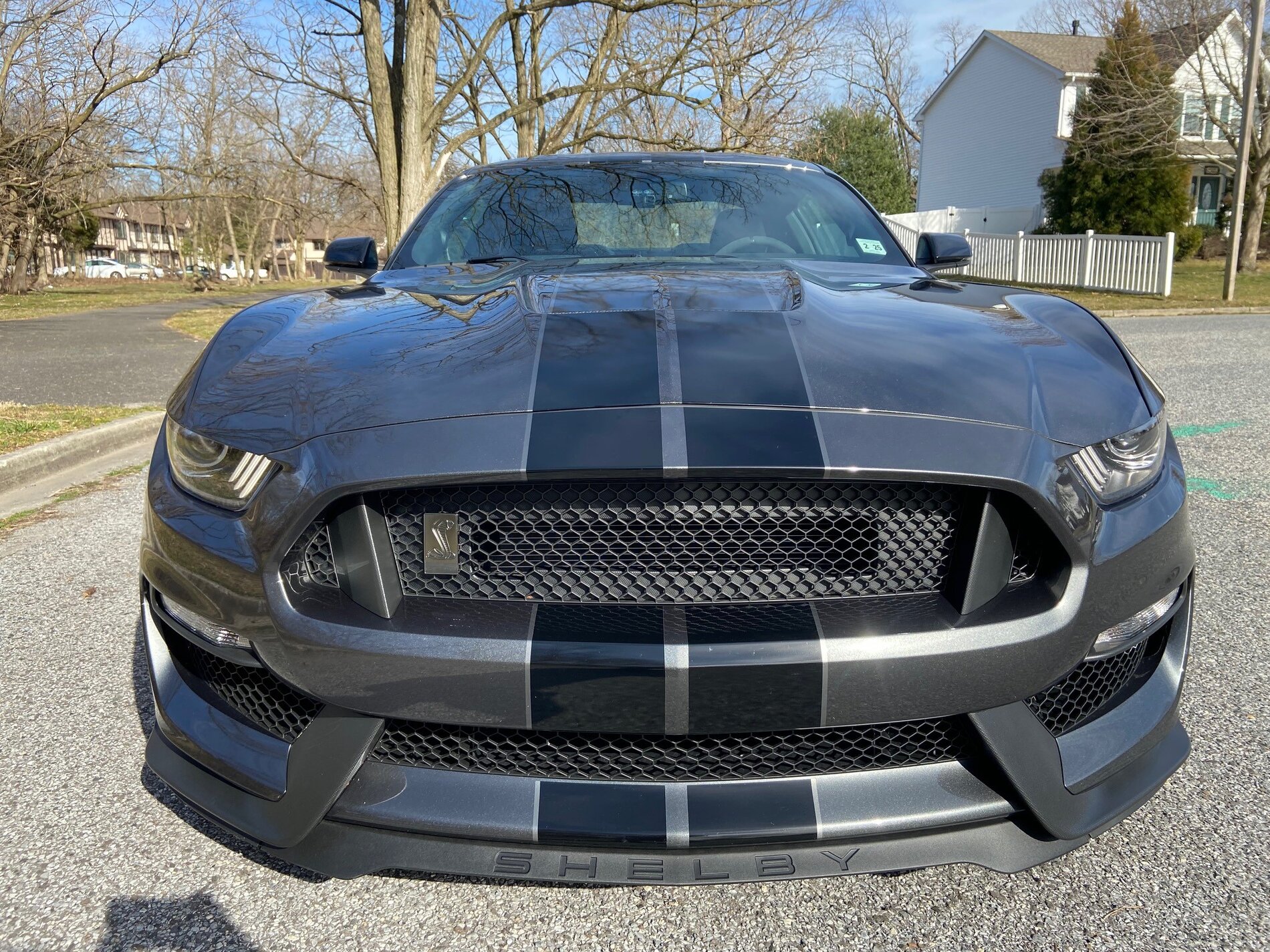 Shelby Front.jpg