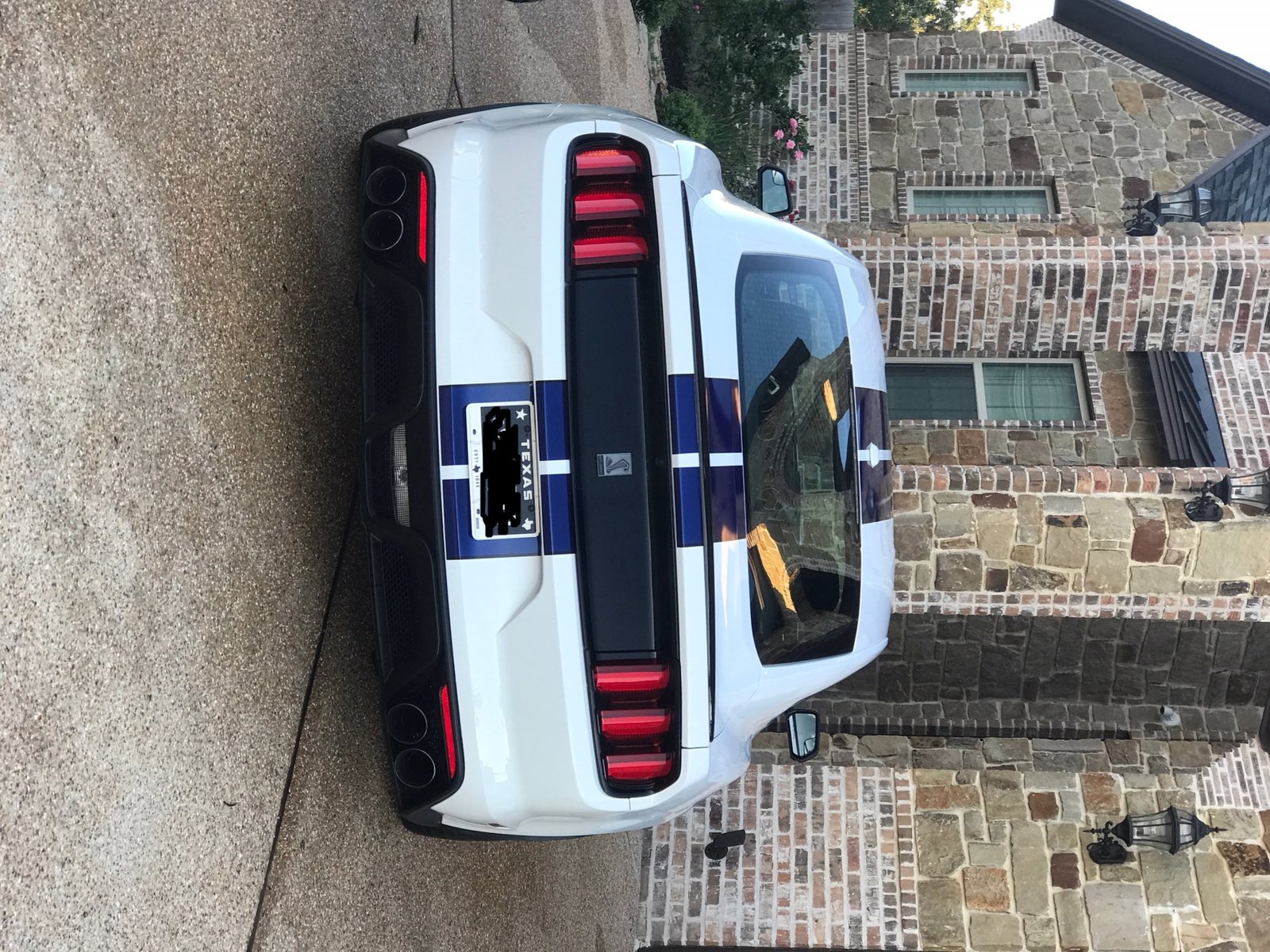 Shelby GT350 Pic Rear.jpg
