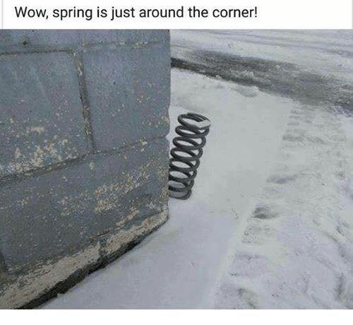Spring is around the corner.png