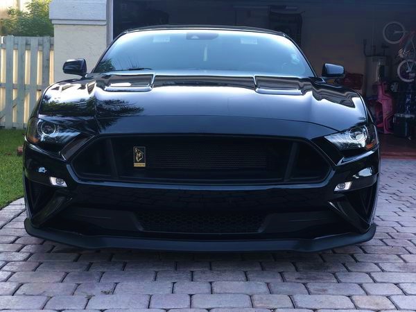 Stang_Front (2).jpg