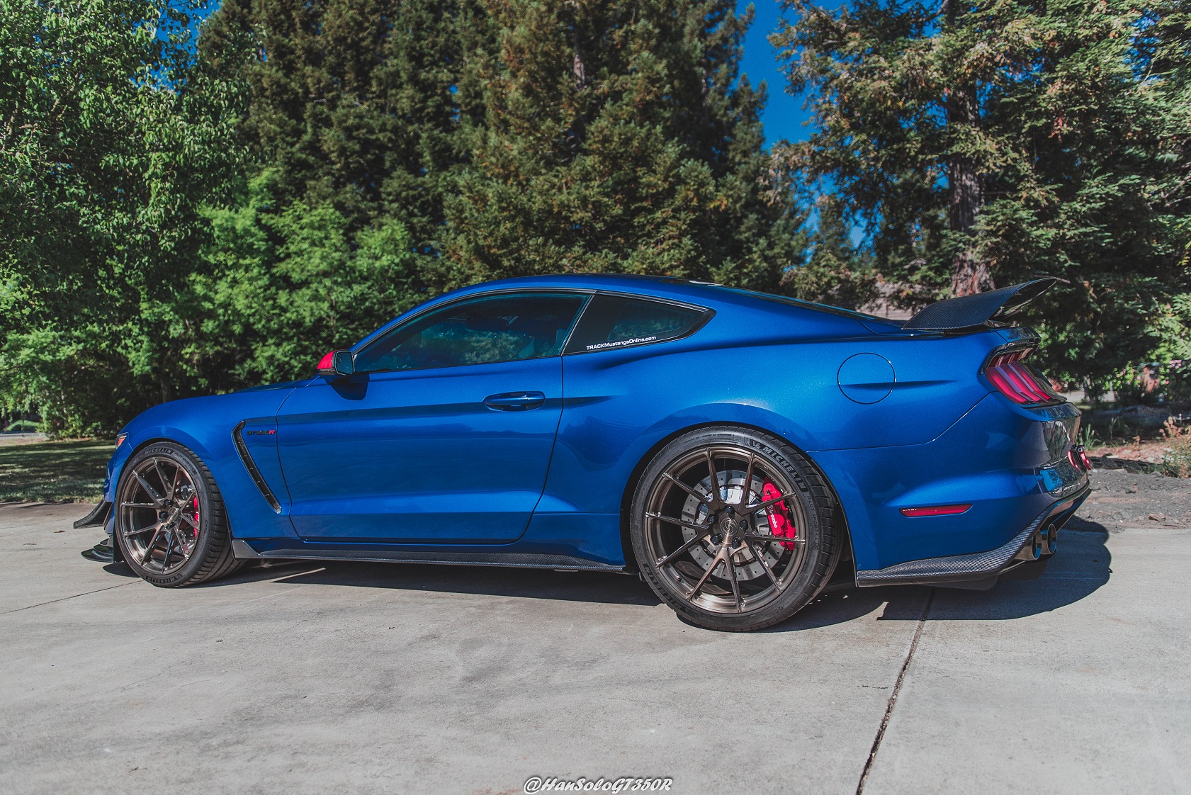SV801 GT350R Brushed Bronze Tinted 20x11.5 square (3).JPG