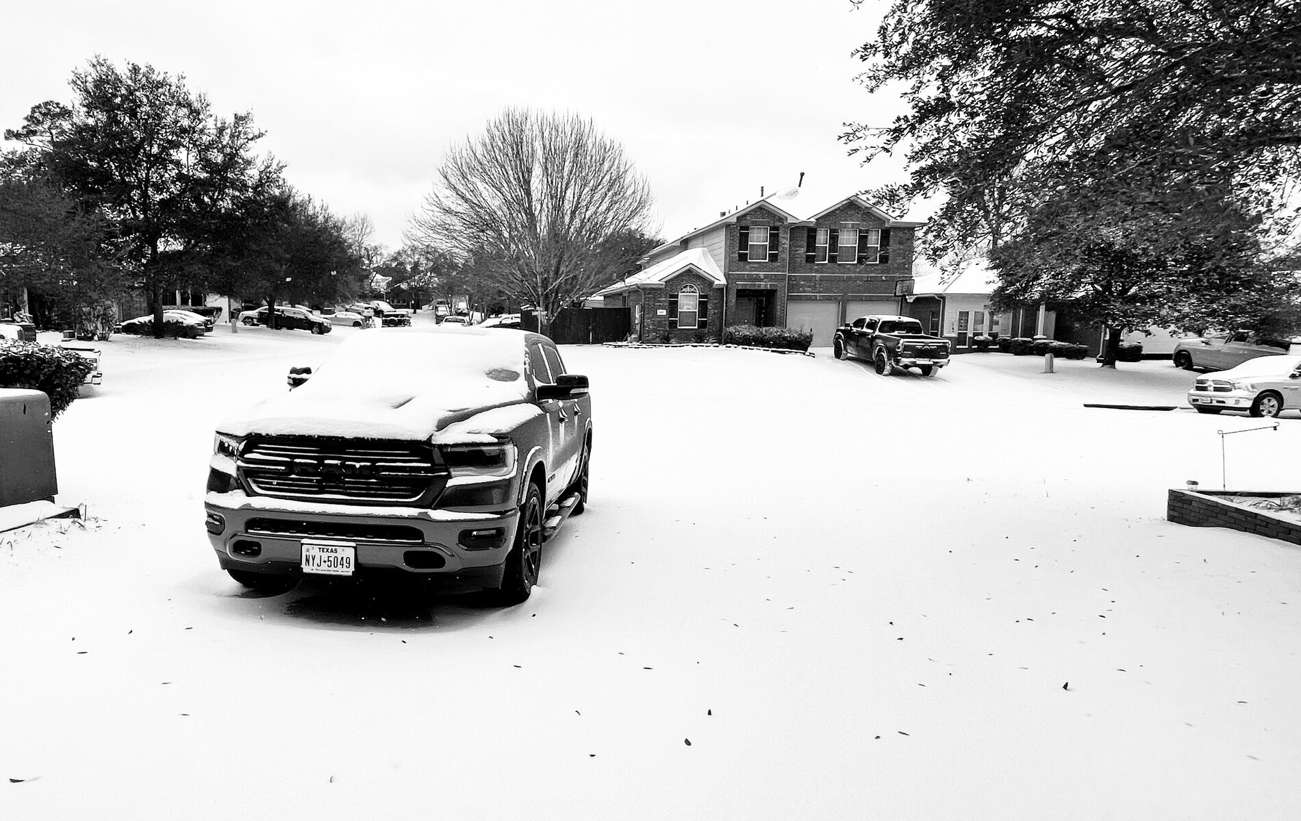 Texas Snow 1-1.jpg
