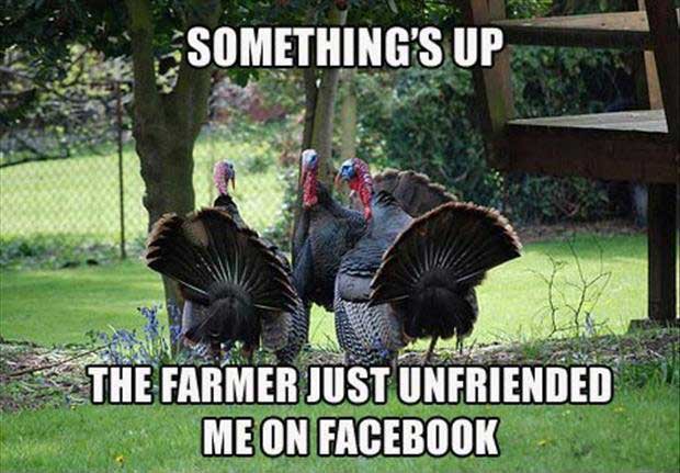 thanksgiving-.jpg