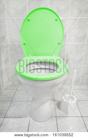 toilet_bowl_green_seat_modern_bathroom_homemade_cg1p61039552c.jpg