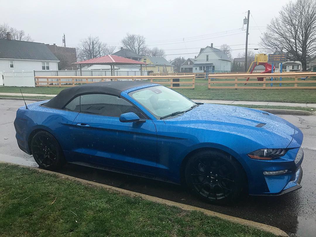 Velocity-Blue-Mustang4.jpg