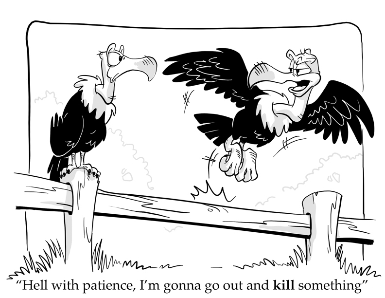 vulturecartoon-patience.jpg
