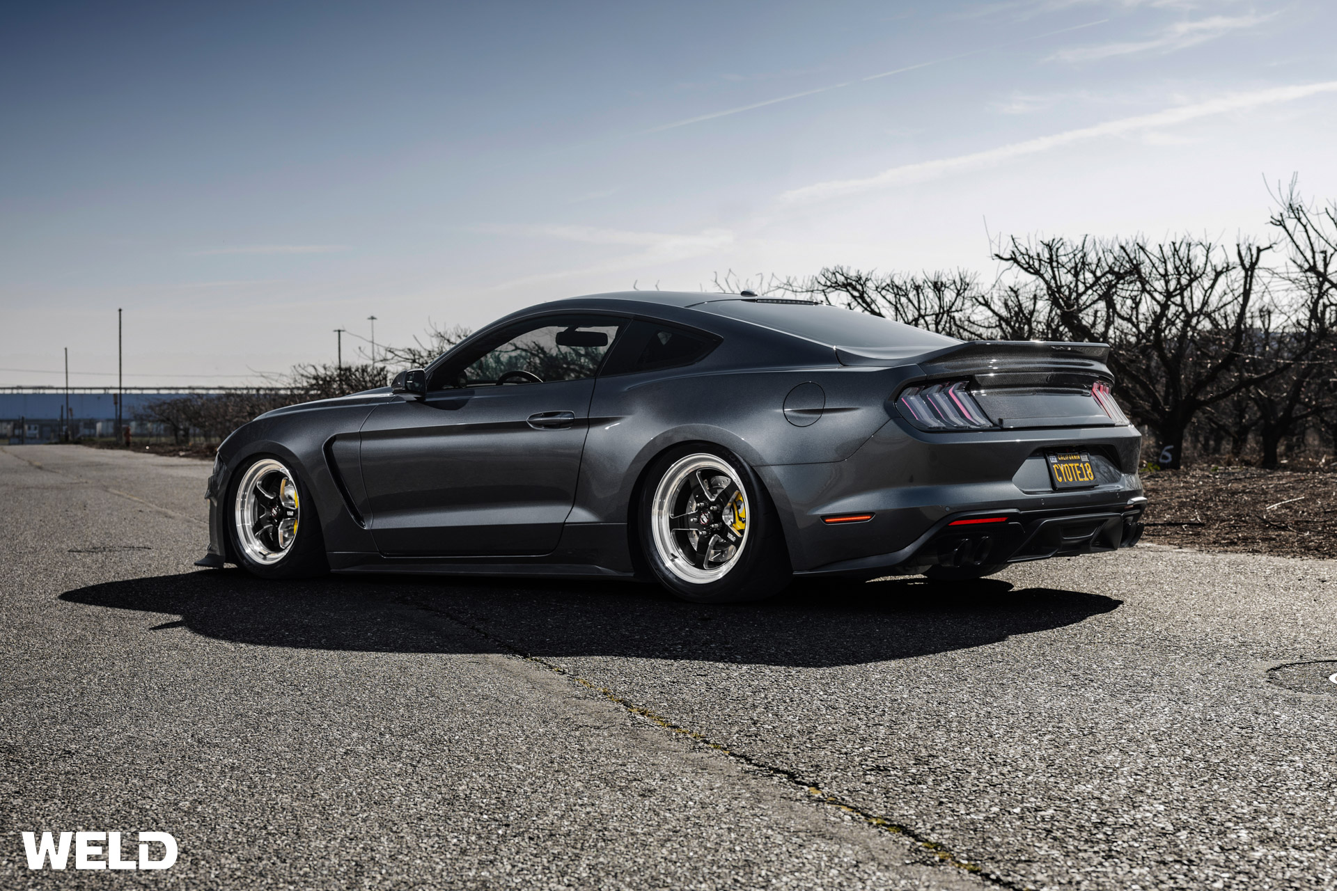 WELD_RT-S_S71_Gray_Ford-Mustang_Gloss-Black-Milled-Forged-Bespoke-03.jpg
