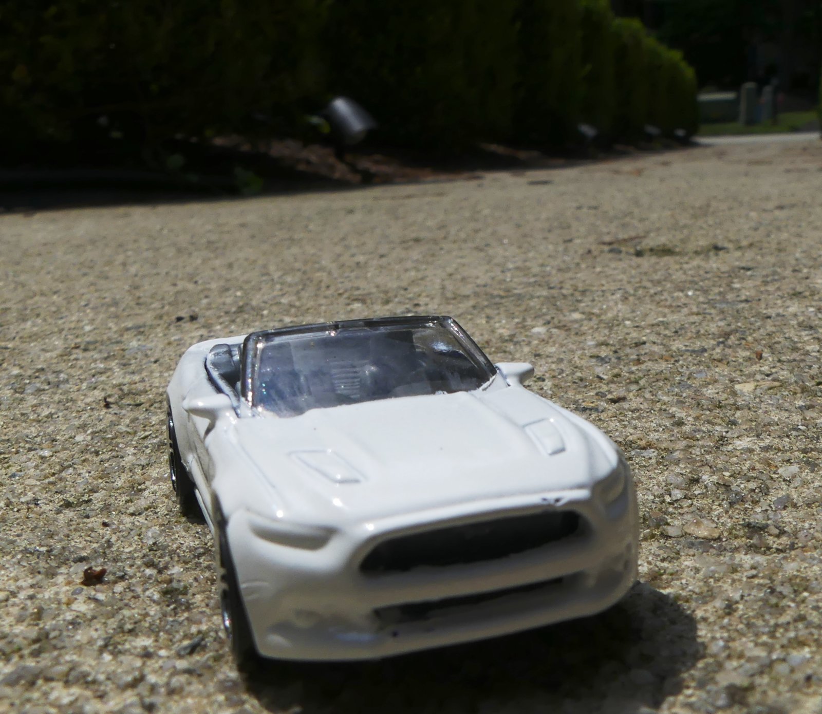 White Model Mustang.jpg