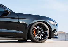 Mustang 002.jpg