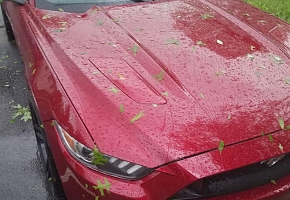 Hail Storm.jpg