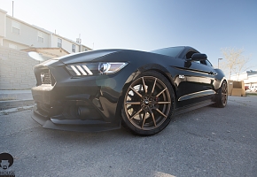 2015 Mustang GT Premium Performance Package