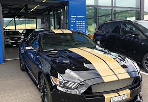 2016 Shelby GT-H #161