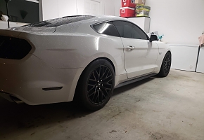 17 Mustang GT PP