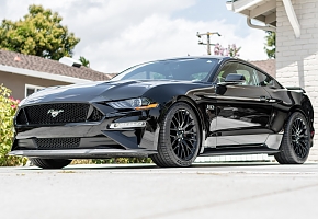 2018 Mustang GT W/Performance Package 1