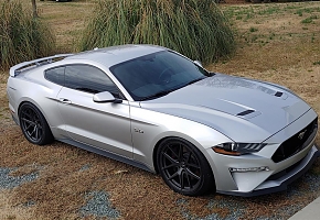 18GTangle (Medium).jpg