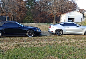 Cobra_and_18GT (Medium).jpg