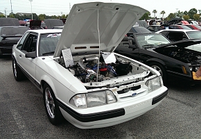 IMAG1619.jpg