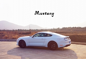 Mustang Ecoboost 2.3T