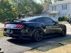 IMG_1813.jpeg