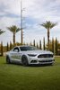 Silver.Mustang.on.the.grass.jpg