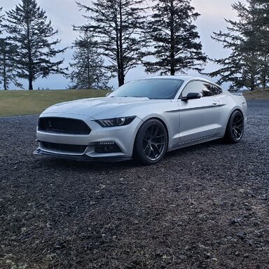 V6 Mustang Cyclone Badges and Wheel Center Caps