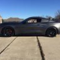 Mag15Mustang