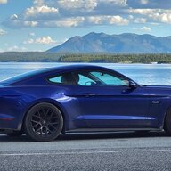 Bluemustang