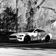 S550_Zeus_Stang