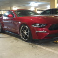 MustangNewbie