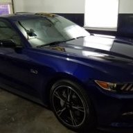 DDbluestang